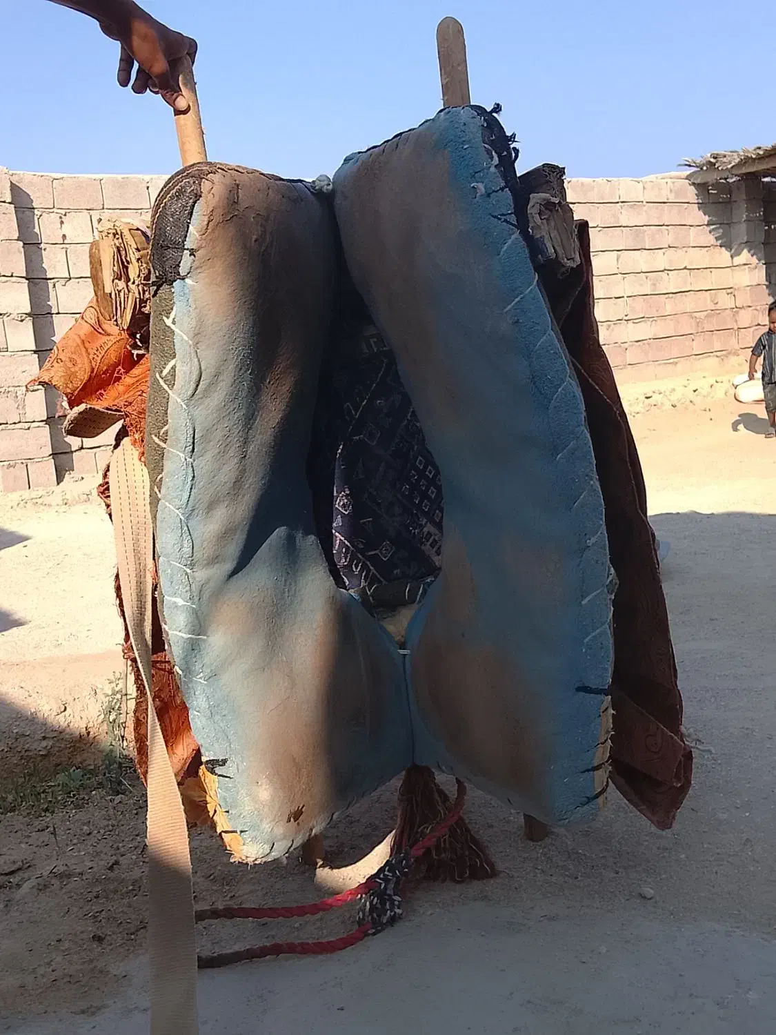 پالون مینابی|اسب و تجهیزات اسبسواری|قشم, |دیوار