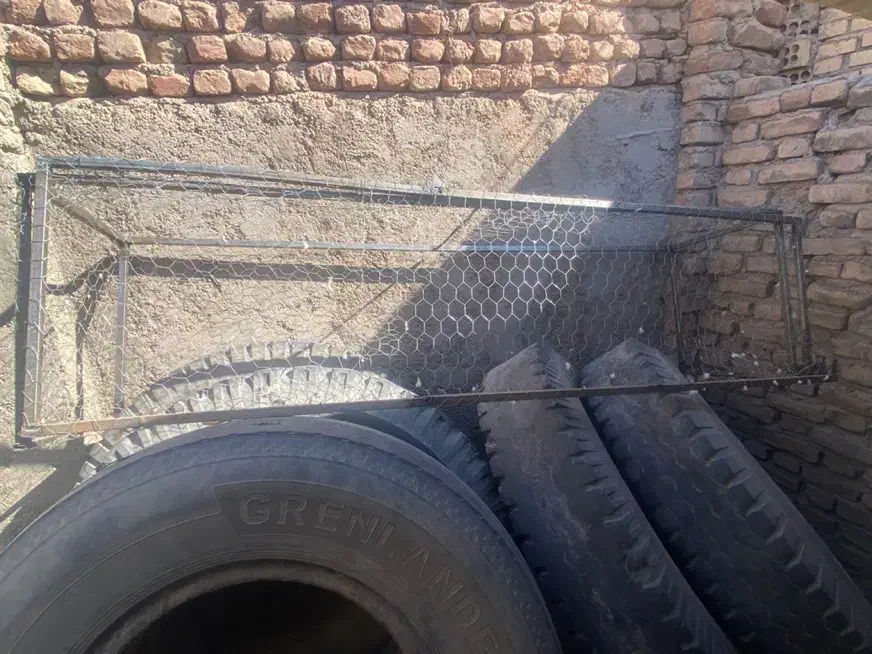 جفت کن|لوازم جانبی حیوانات|بم, |دیوار