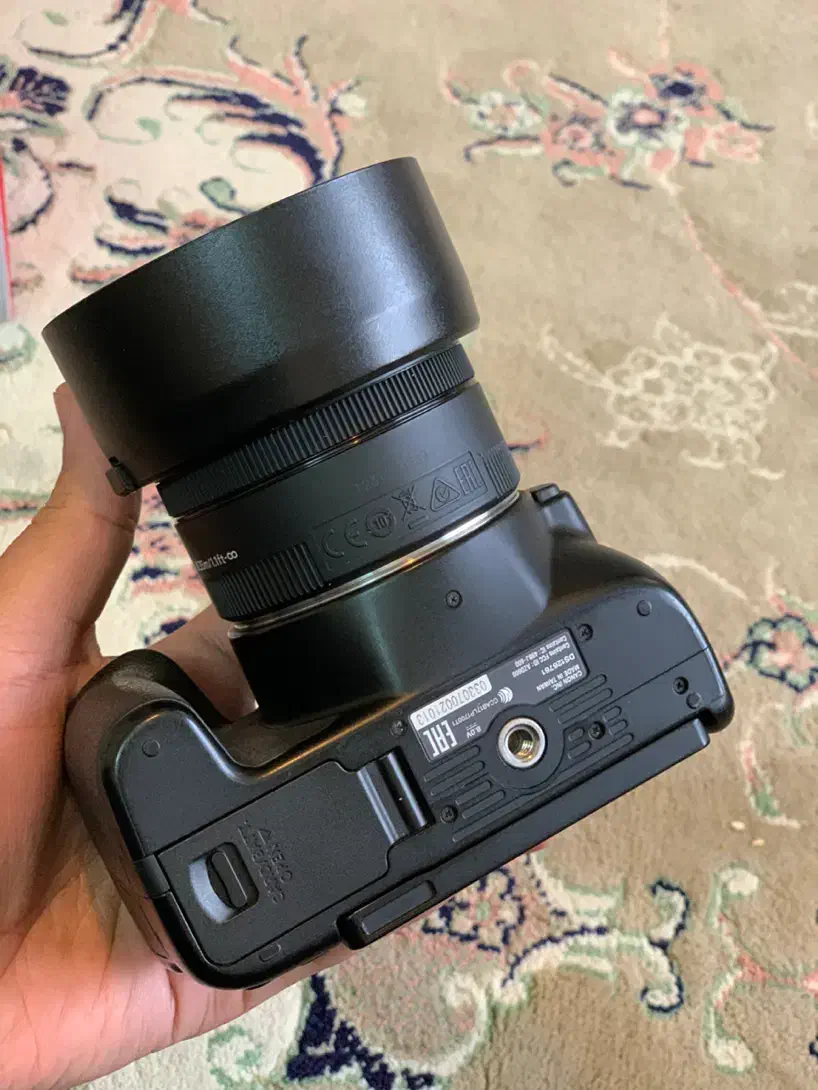 دوربین 250d+لنز 50|دوربین عکاسی و فیلمبرداری|قم, شاه سید علی|دیوار