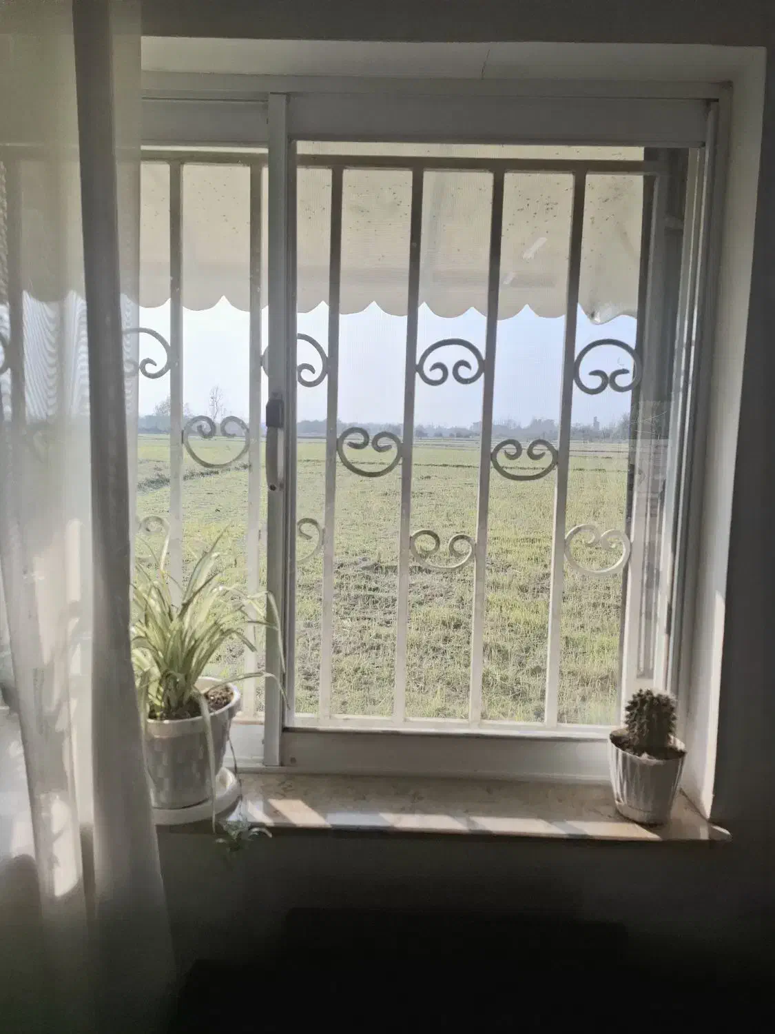 خانه ویلایی و شالیزار ( 20000 متر مربع)|فروش خانه و ویلا|لشت نشا, |دیوار