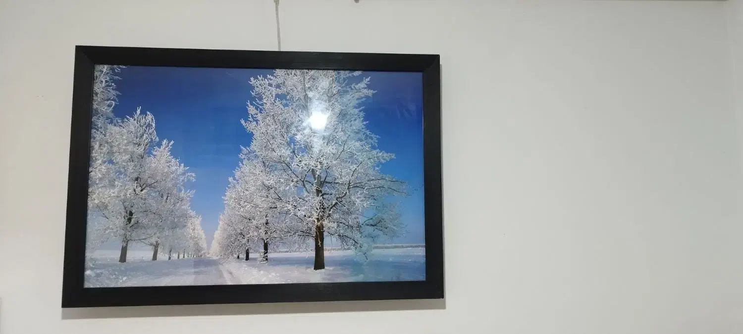 تابلو|تابلو، نقاشی، عکس|رشت, معلولین|دیوار