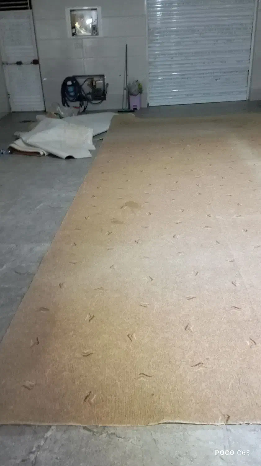 پالاز|موکت|رامهرمز, |دیوار