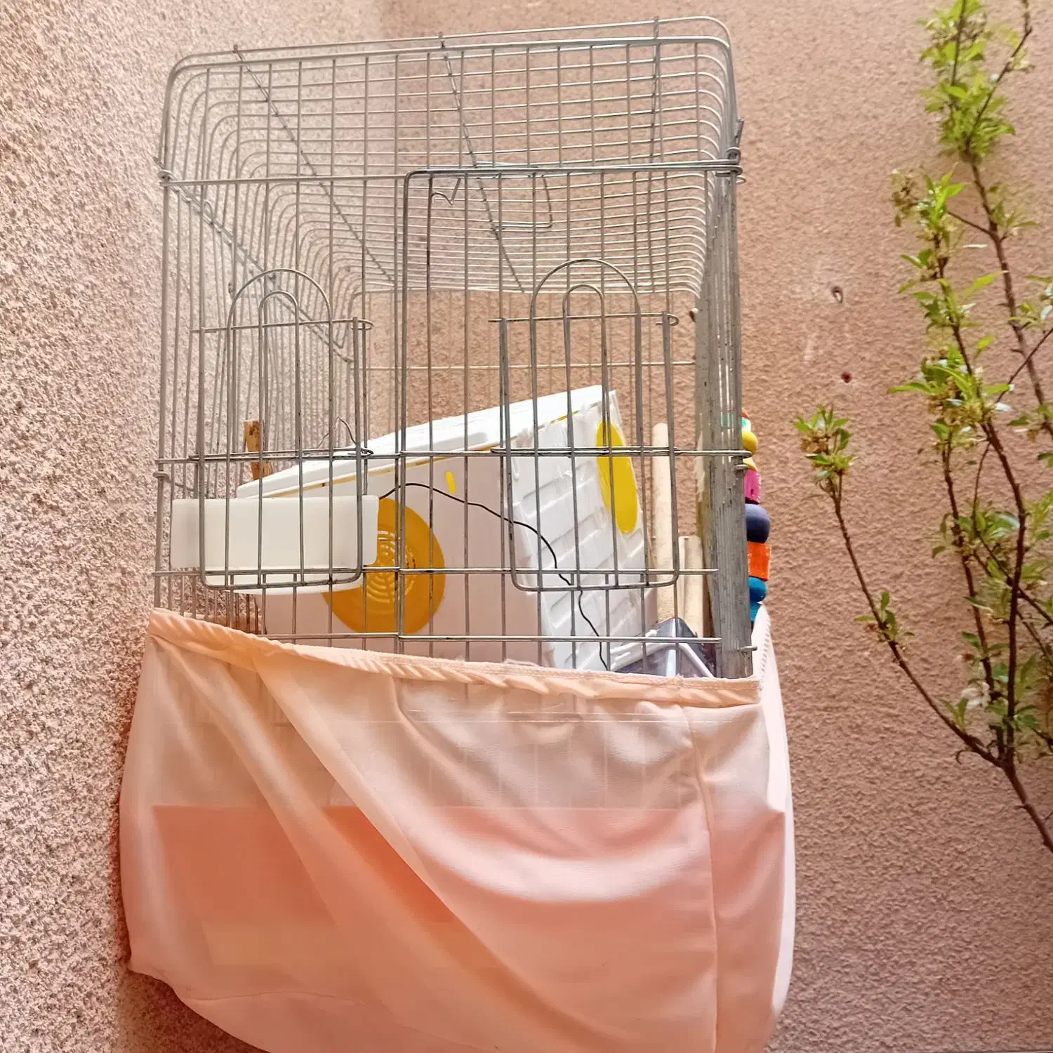 قفس|لوازم جانبی حیوانات|پردیس, فاز ۴|دیوار