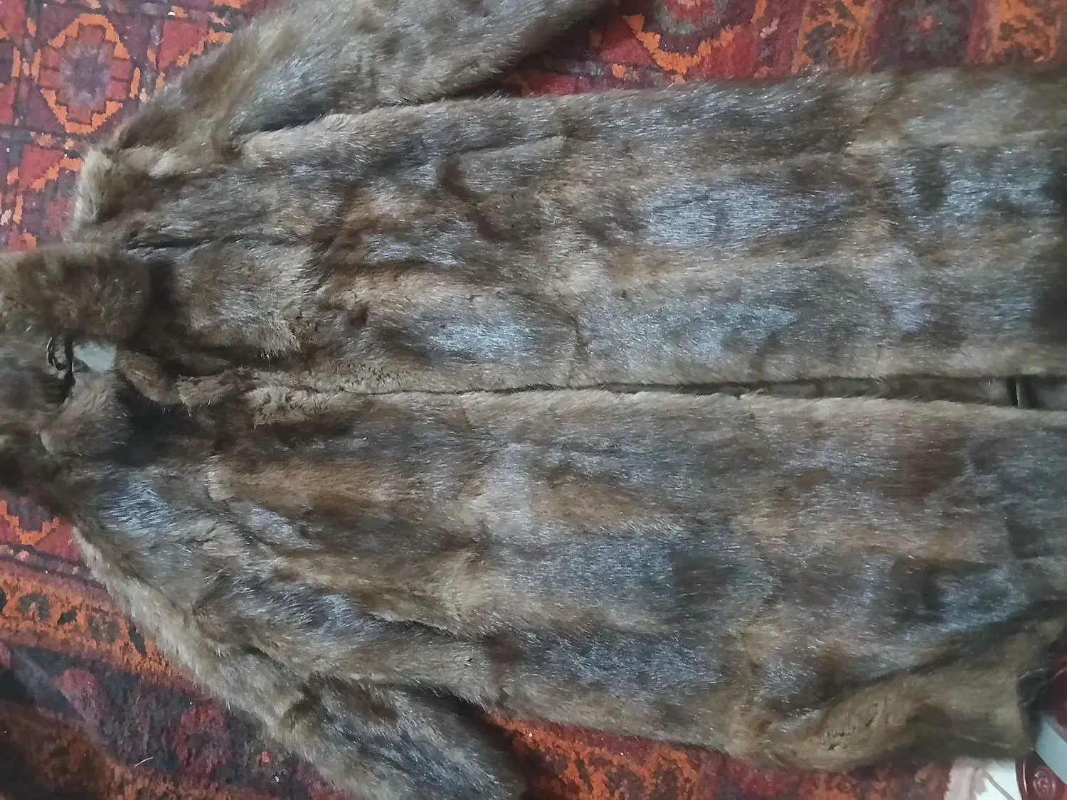 پالتو ...طبیعی|لباس|مینودشت, |دیوار