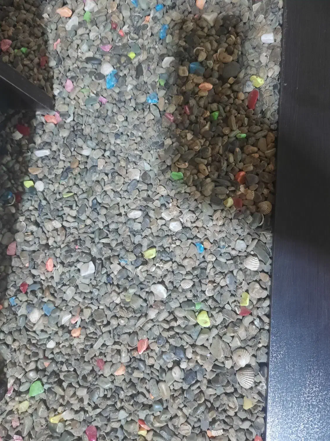 میز با عسی چوب خوب|مبلمان خانگی و میز عسلی|کرمان, |دیوار