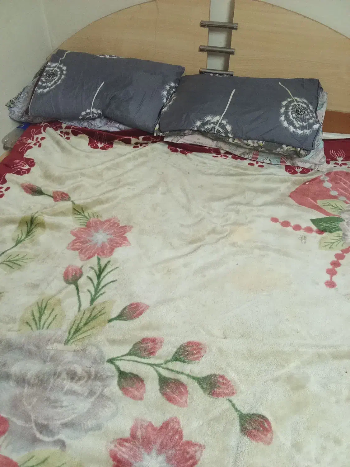 تخت خواب دو نفره|تخت و سرویس خواب|سبزوار, فرهنگیان|دیوار