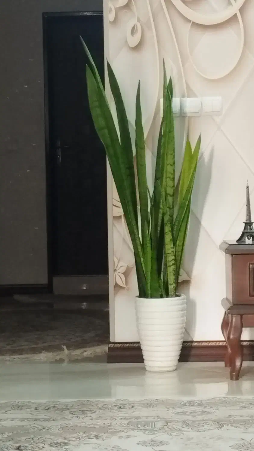 گل طبیعی و گلدان و پایه گل|گل و گیاه طبیعی|مشهد, هنرور|دیوار