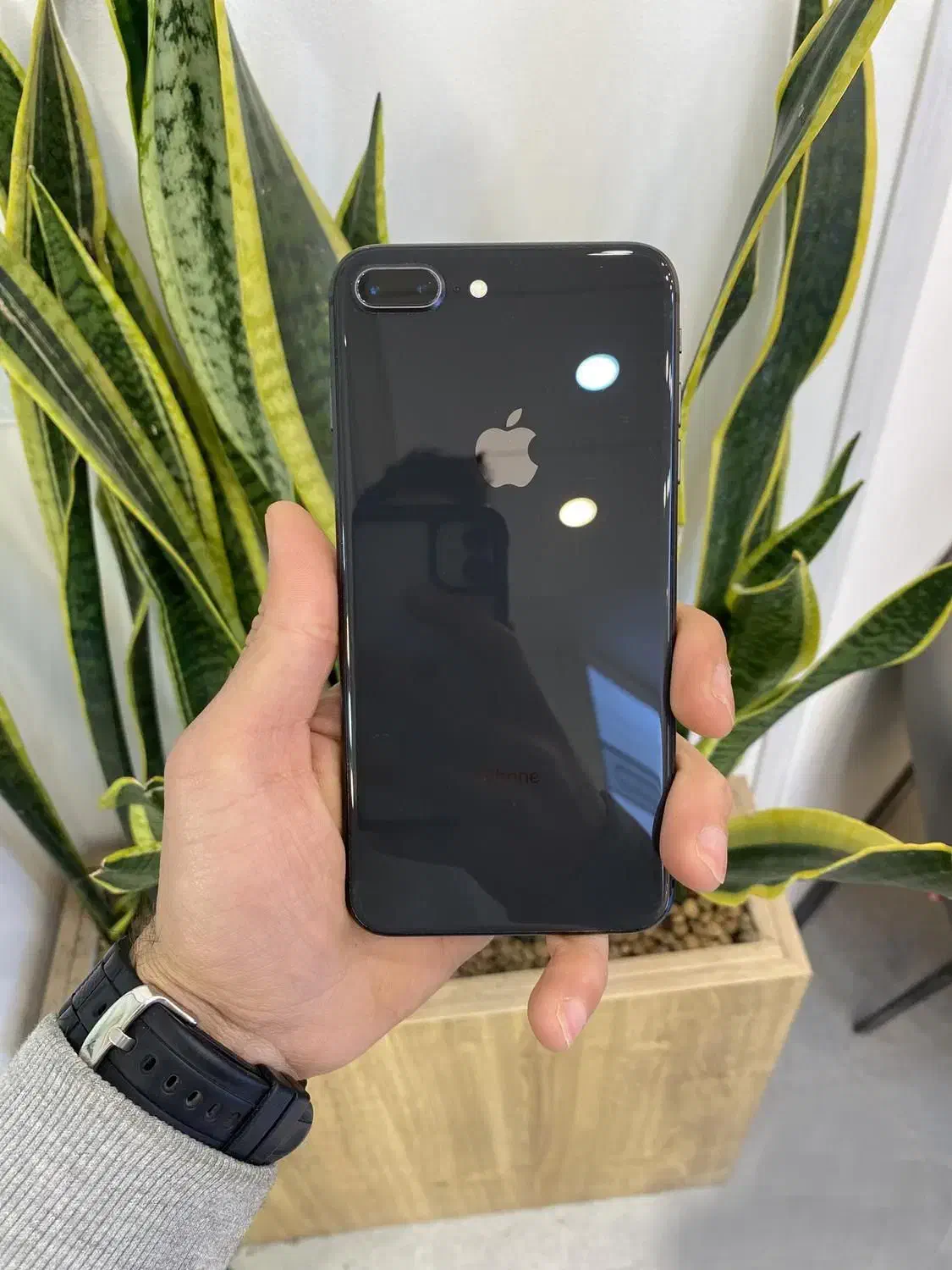 آیفون 8 پلاس اپل iphone 8 plus 64گیگ|موبایل|تهران, صادقیه|دیوار