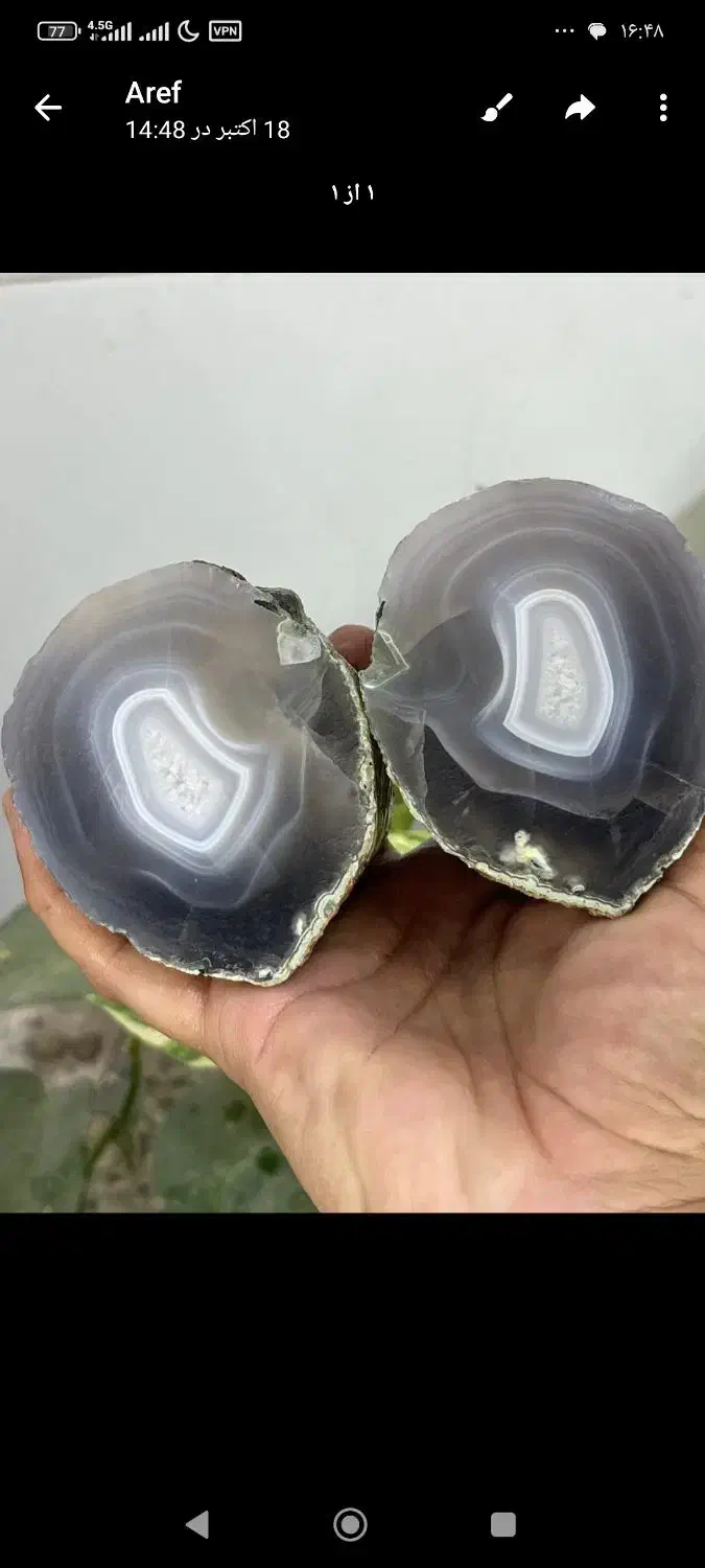 سنگ شجر|جواهرات|شیبکوه (فارس), |دیوار