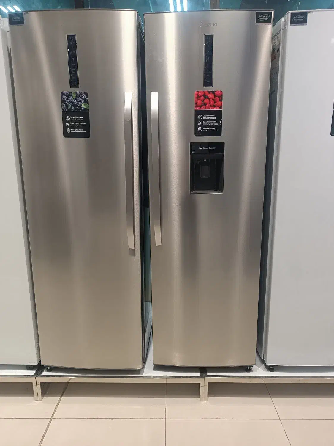 جستجوی شوتی سوار|فعالیت داوطلبانه|سیرجان, |دیوار