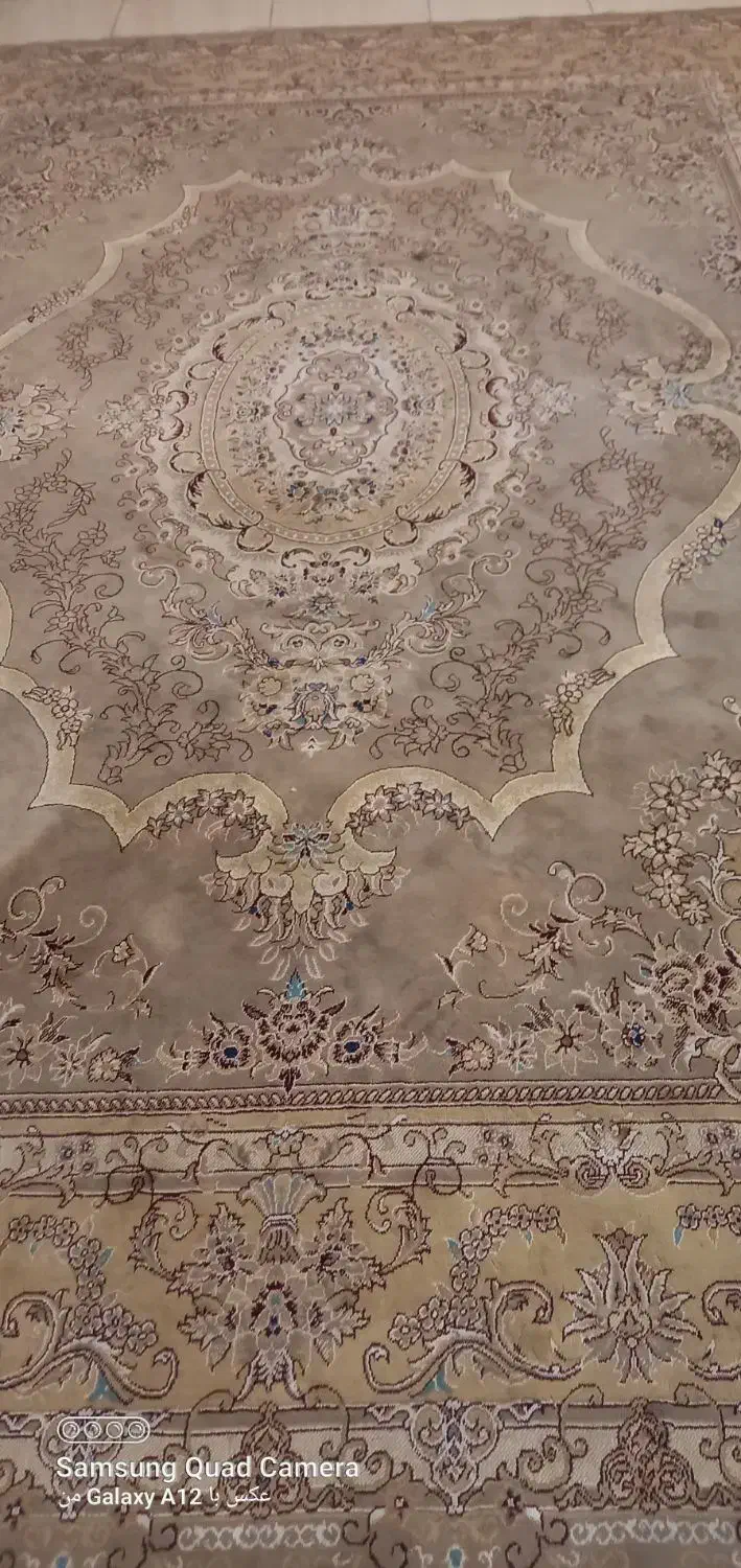 فرش|فرش|تربت جام, شهید مدرس|دیوار