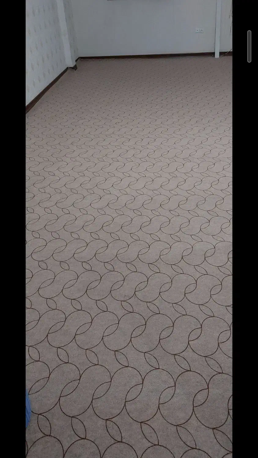 موکت|موکت|زاهدان, |دیوار