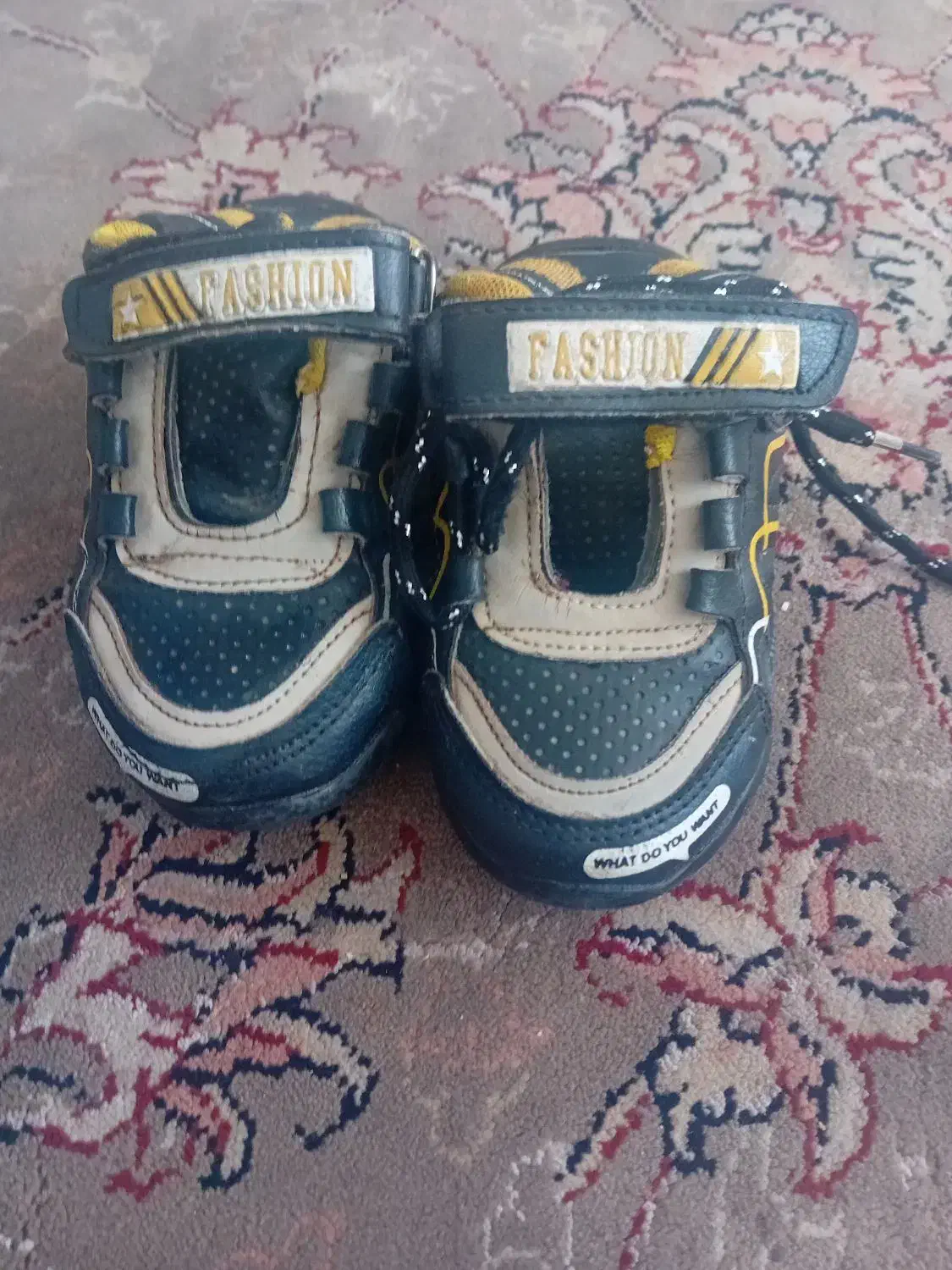 کفش|کیف، کفش، کمربند|نهبندان, |دیوار