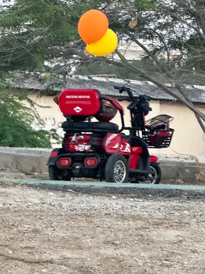 سه چرخه سالم|دوچرخه، اسکیت، اسکوتر|کیش, |دیوار