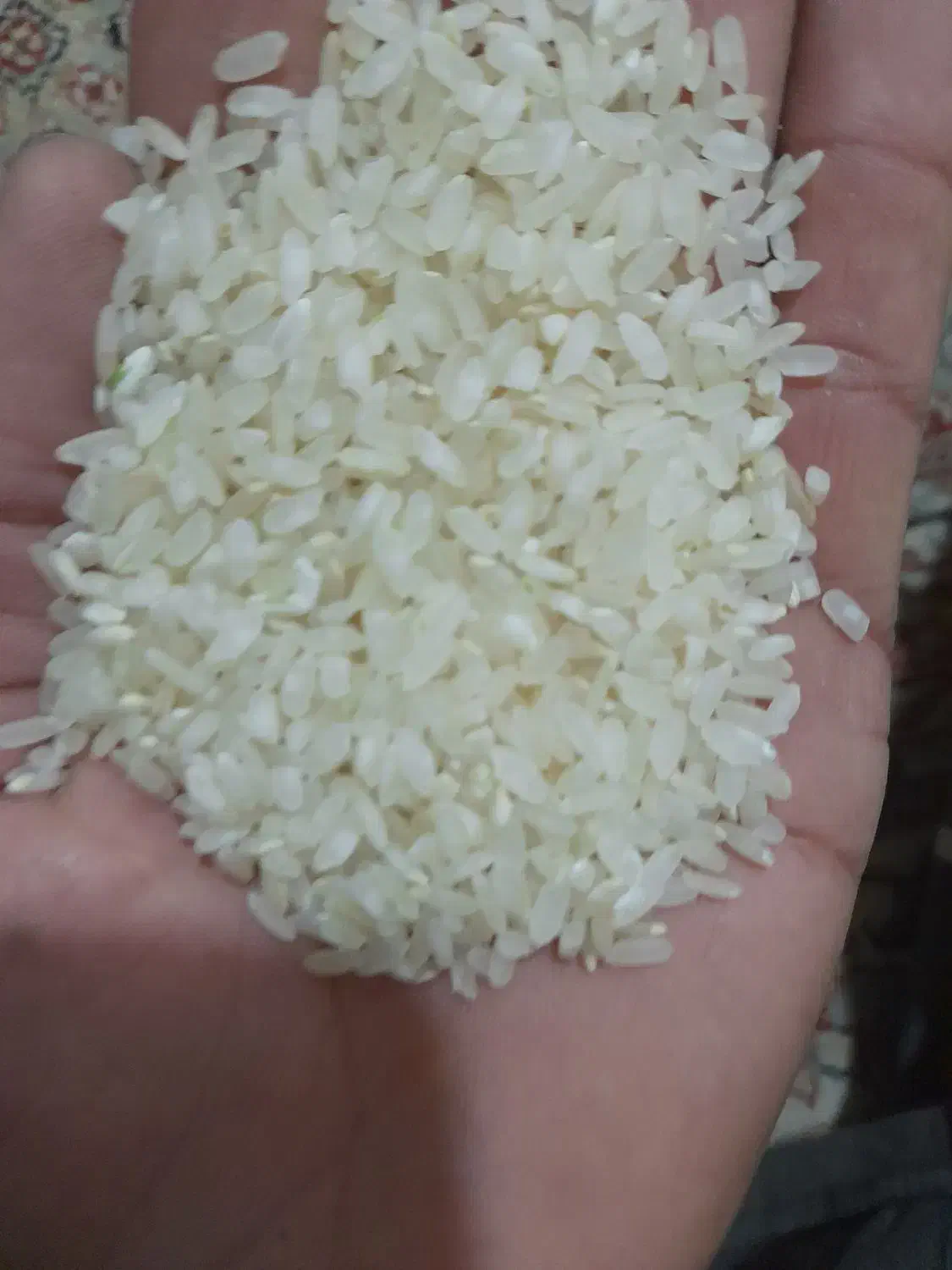 برنج کامفیروزی|خوردنی و آشامیدنی|شیراز, گویم|دیوار