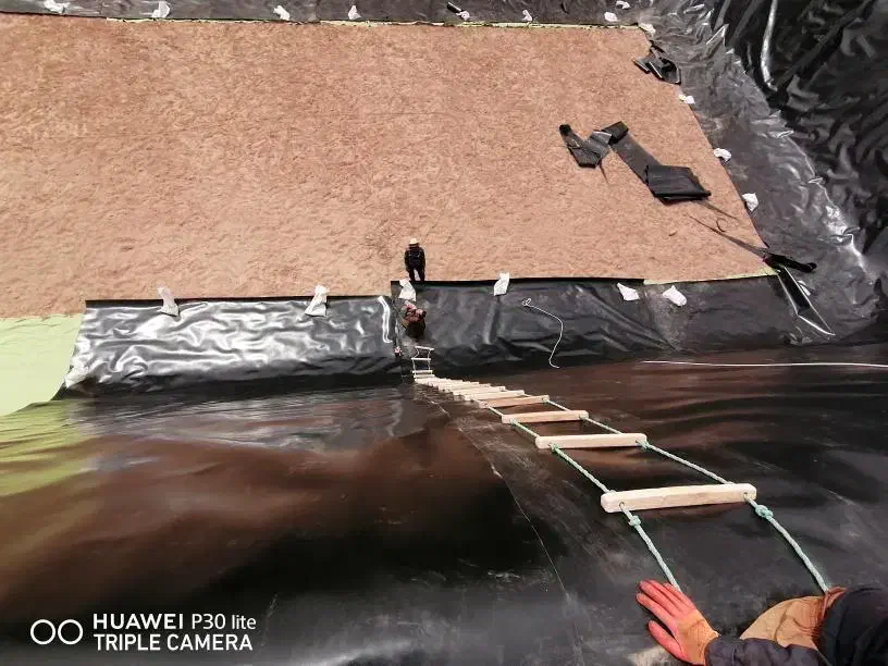 ژئوممبران ، لایه استخر کشاورزی|خدمات پیشه و مهارت|مشهد, شریف|دیوار