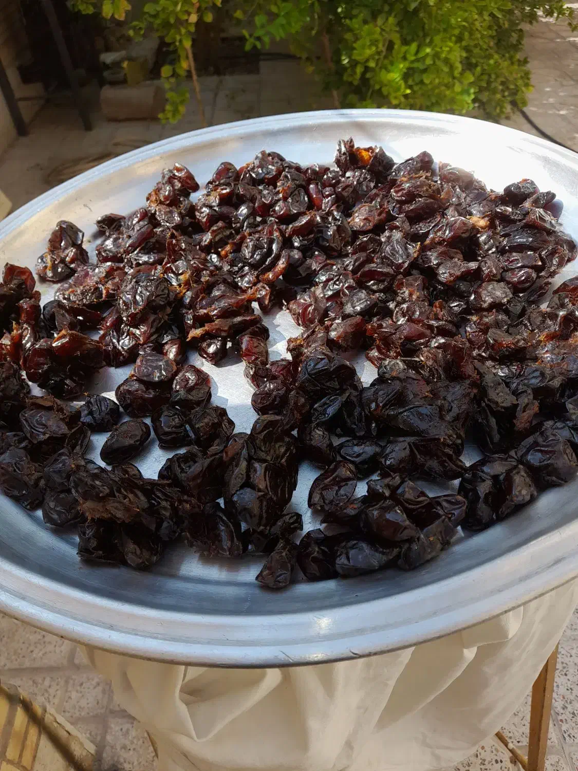 خرما خنیزی و گواردیال و بی هسته|عمدهفروشی|بندرعباس, |دیوار