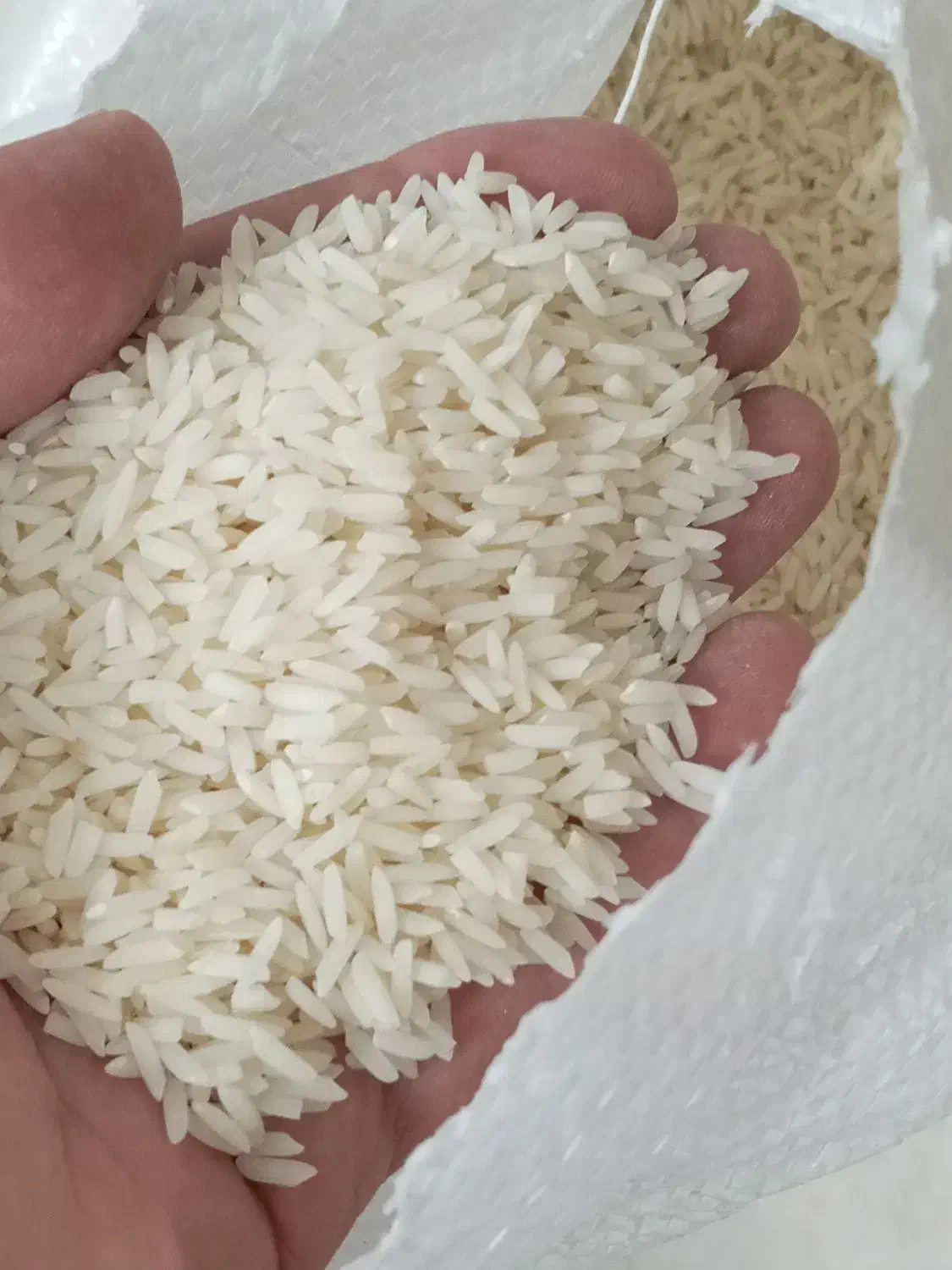 برنج هاشمی اعلادرجه یک گیلان رشت|خوردنی و آشامیدنی|رشت, استادسرا|دیوار