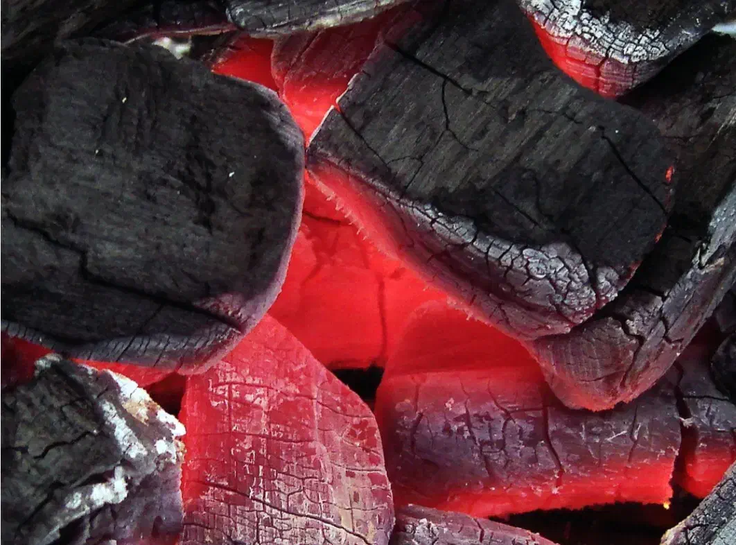 ذغال سیب|عمدهفروشی|مهاباد (آذربایجان غربی), |دیوار