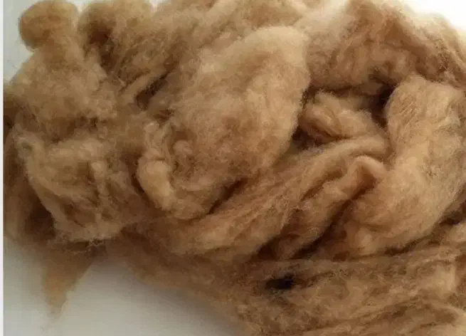 20 کیلو پشم گوسفند|رختخواب، بالش، پتو|نقده, |دیوار