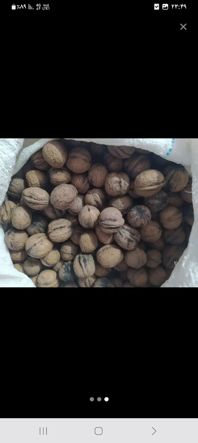 باغات لرستان|حراج|بومهن, |دیوار