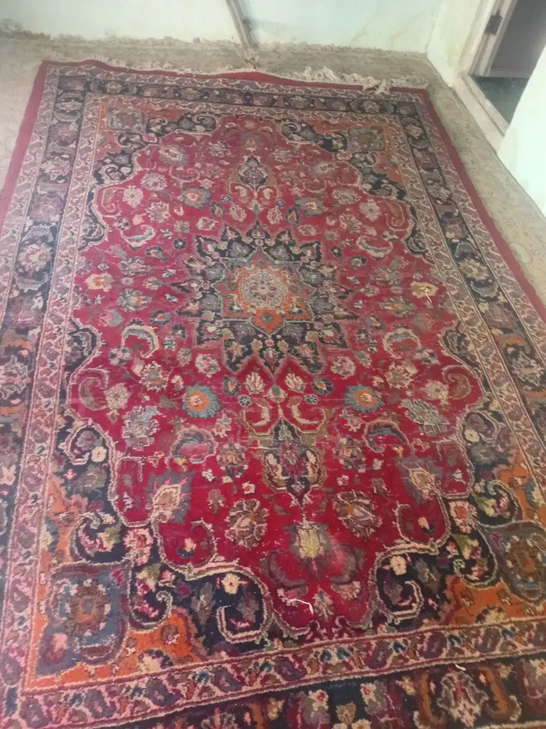 دو تحنه فرش ۱۲و۶متری|فرش|مشهد, آبکوه|دیوار