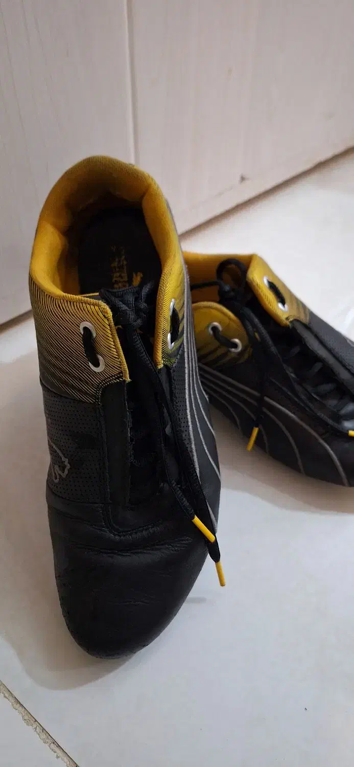 کفش ورزشی و دوچرخه سواری پوما|کیف، کفش، کمربند|مشهد, فرهنگیان (شهرک غرب)|دیوار