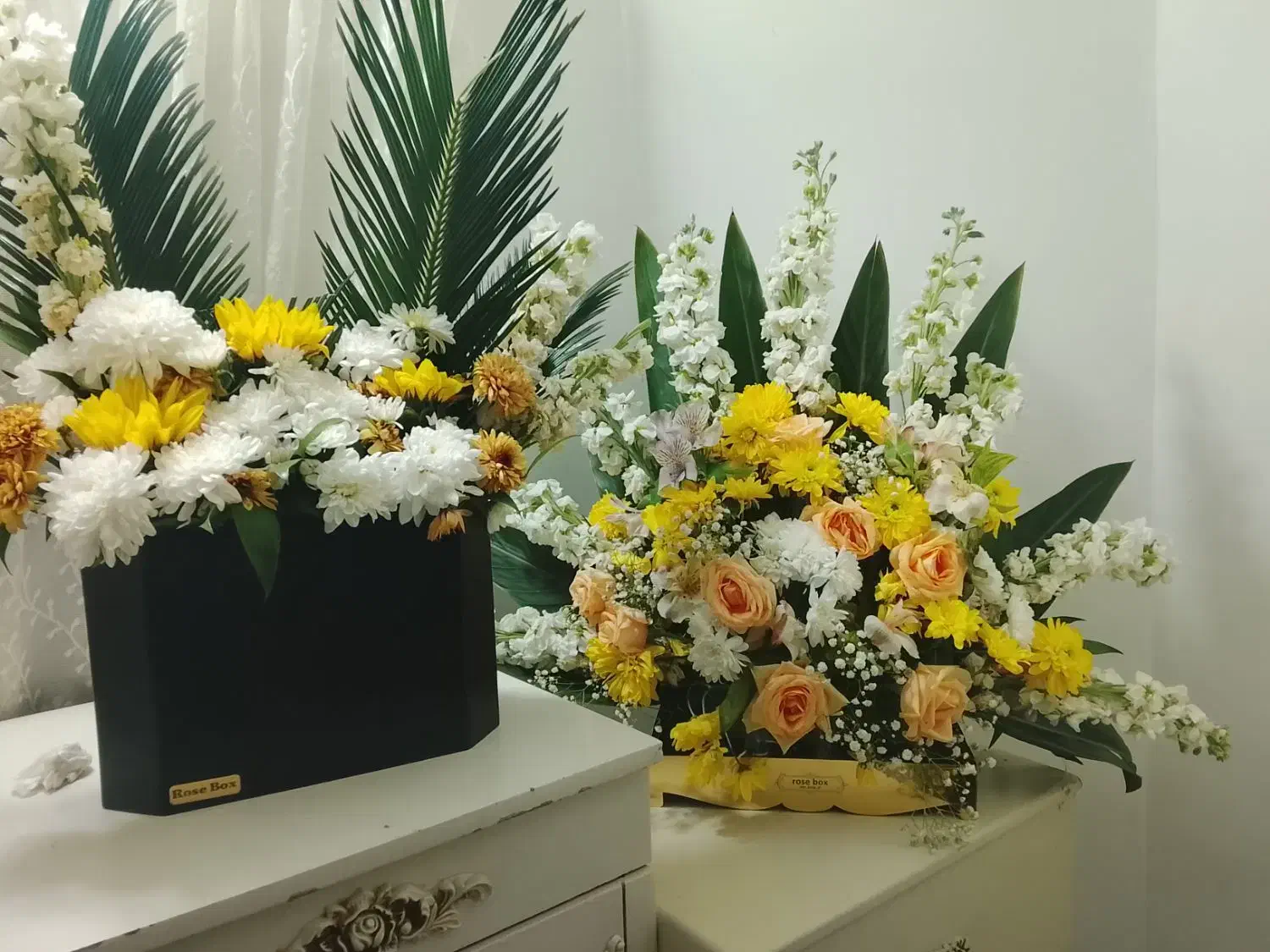 گل طبیعی|گل و گیاه طبیعی|مشهد, کارمندان دوم|دیوار