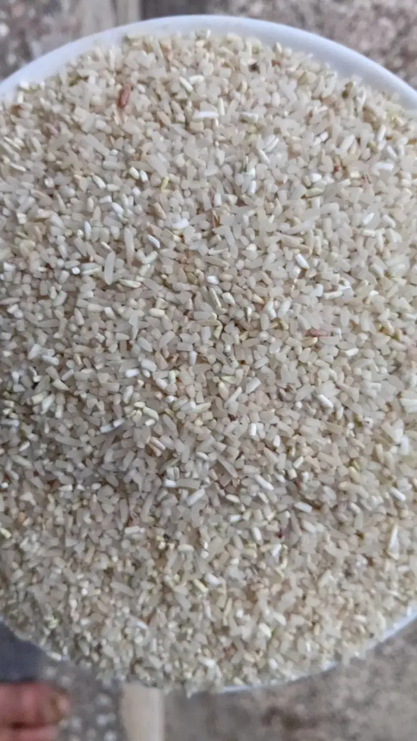 نیم دانه فجر|خوردنی و آشامیدنی|خان ببین, |دیوار