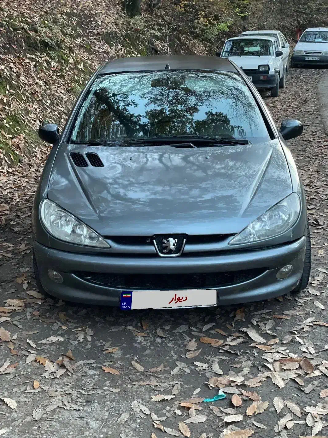 ۲۰۶ تیپ ۳|خودرو سواری و وانت|گرگان, |دیوار