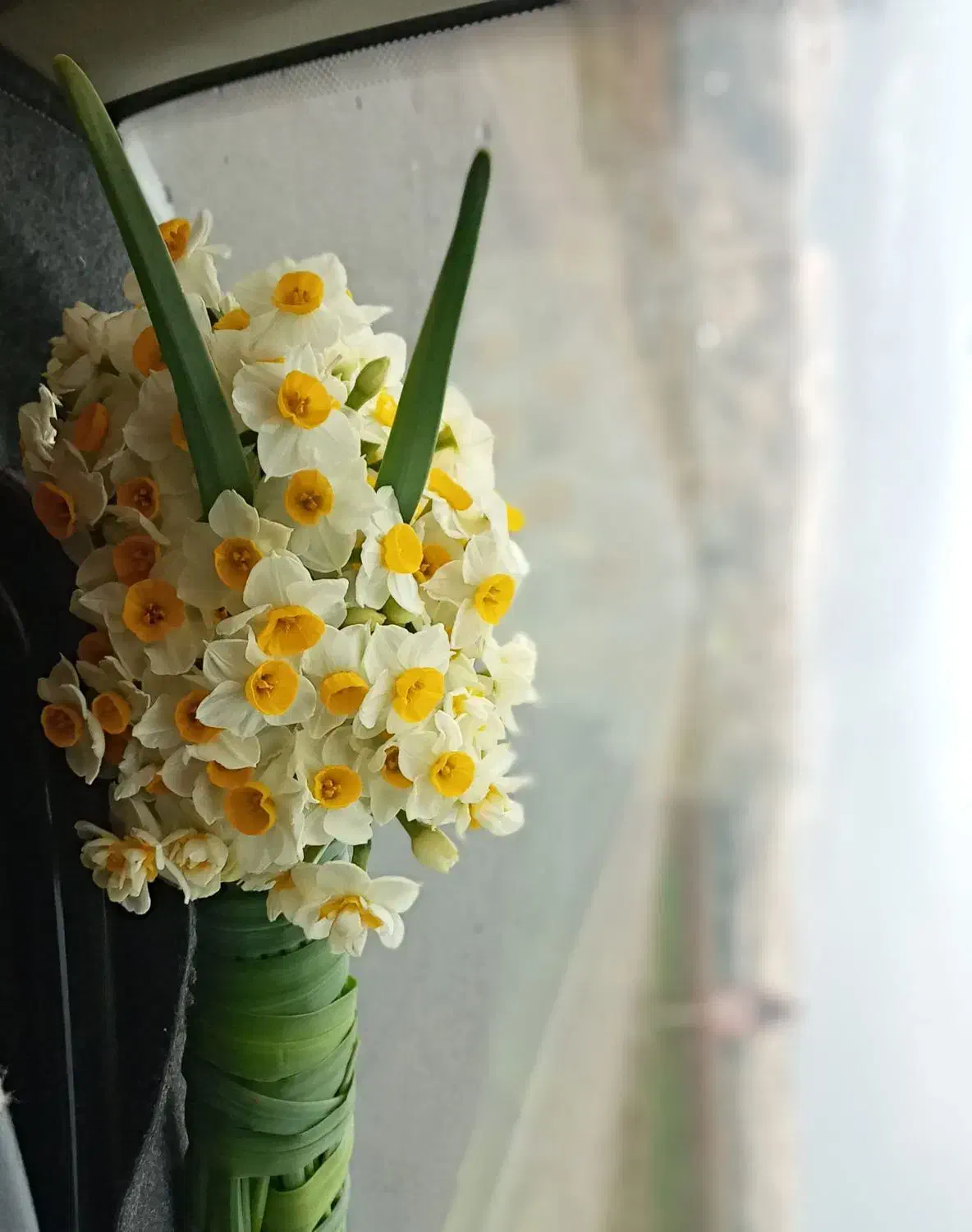 فروش گل نرگس|گل و گیاه طبیعی|گچی, |دیوار