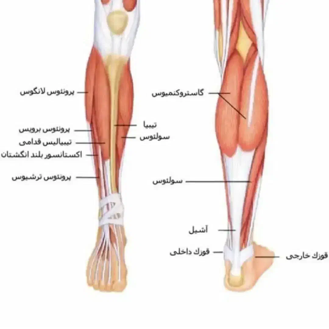کتاب درمان|کتاب و مجله آموزشی|کوهدشت, |دیوار