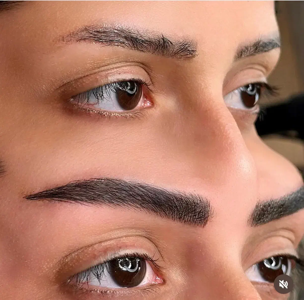 خدمات ارایش دائم ۵۰٪ تخفیف بلک فرایدی|خدمات آرایشگری و زیبایی|گرگان, |دیوار