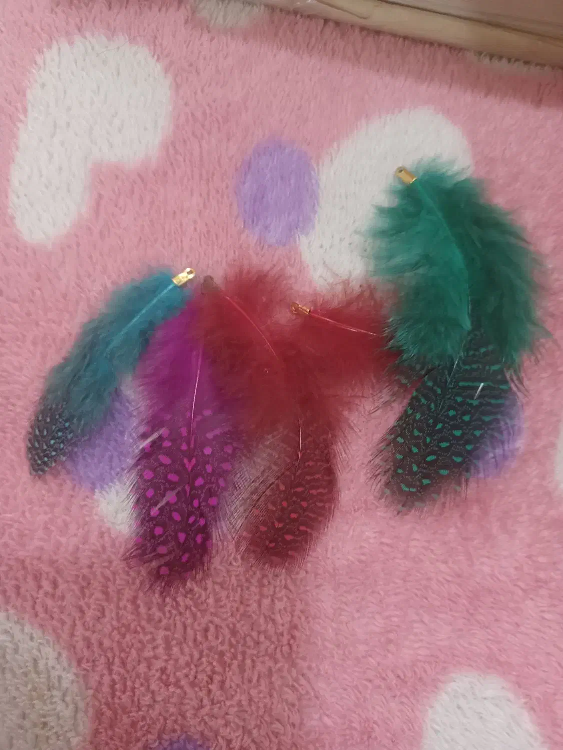 تعدادی پر زینتی|صنایع دستی و سایر لوازم تزئینی|قم, صفاشهر|دیوار