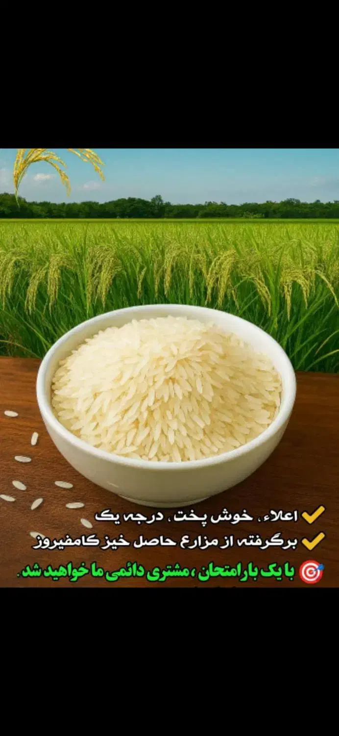برنج کامفیروزی چمپه. اصل به شرط|خوردنی و آشامیدنی|صدرا-فارس, فاز ۱|دیوار