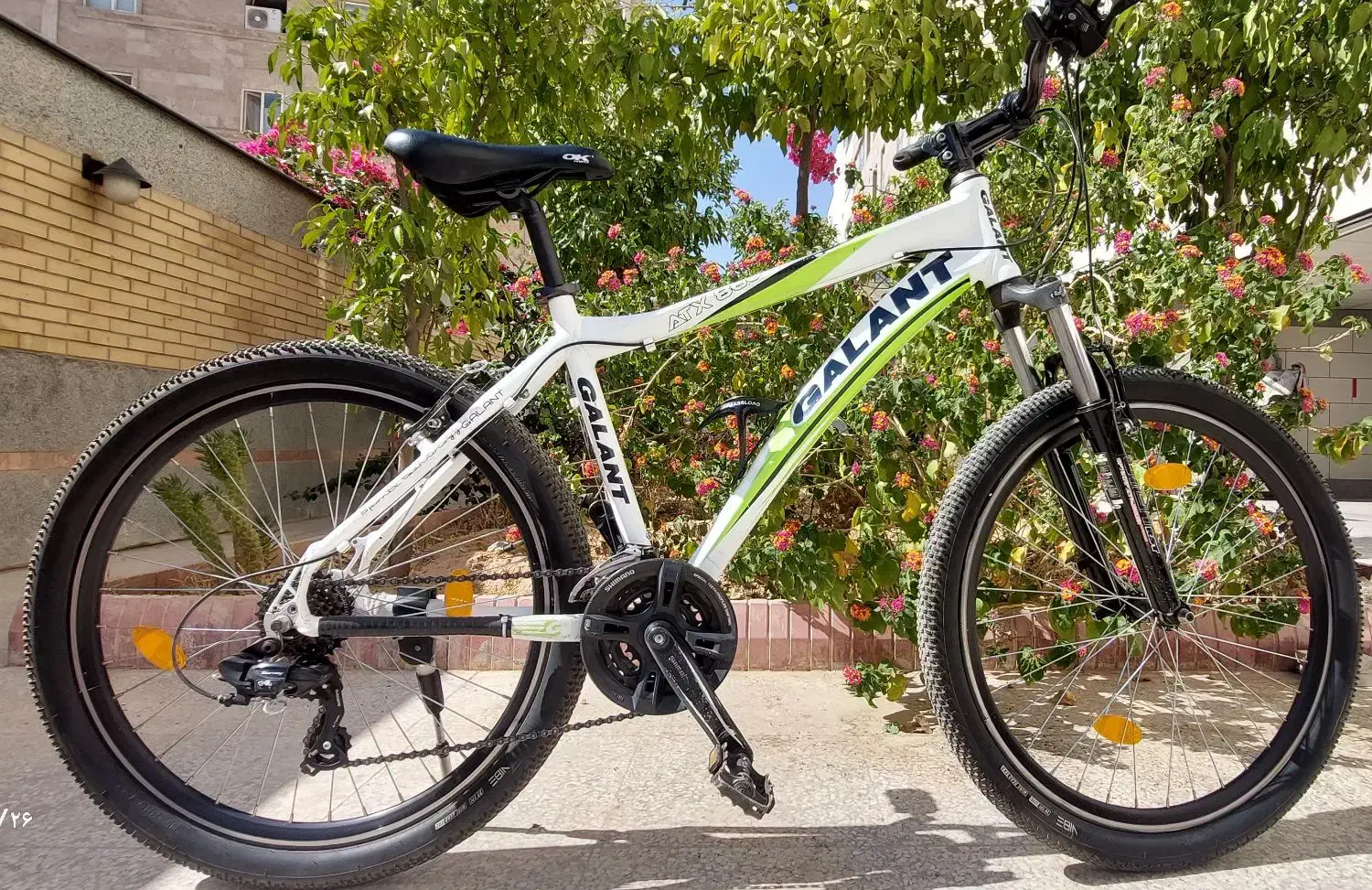 دوچرخه 26 گالانت اصل تایوان|دوچرخه، اسکیت، اسکوتر|شیراز, امام حسین|دیوار