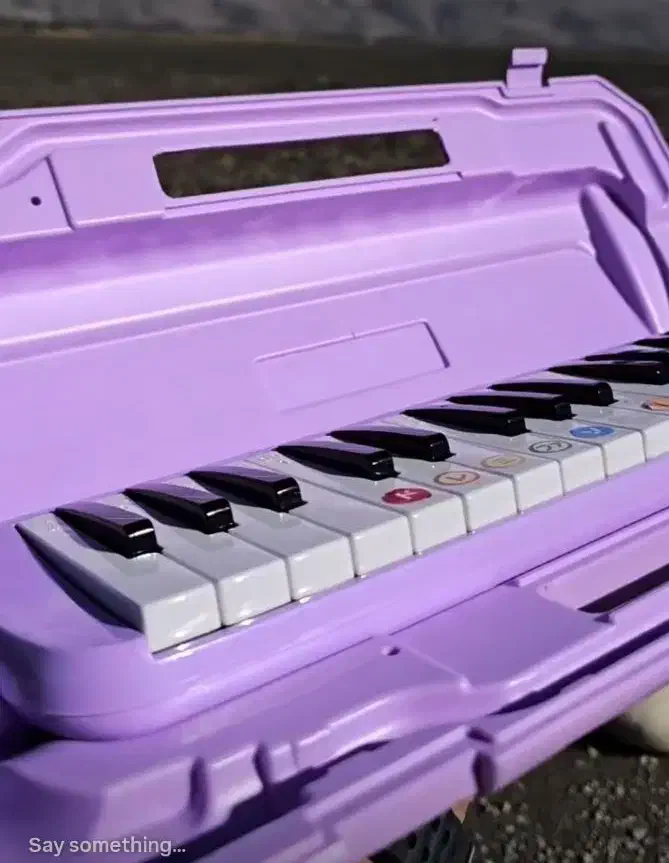 پخش ملودیکا همکار و عمده|سازهای بادی|تهران, باغ خزانه|دیوار