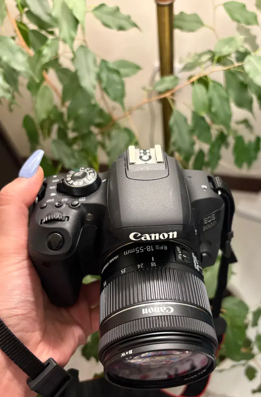 Canon800d /18-55|دوربین عکاسی و فیلم‌برداری|تهران, باشگاه نفت|دیوار