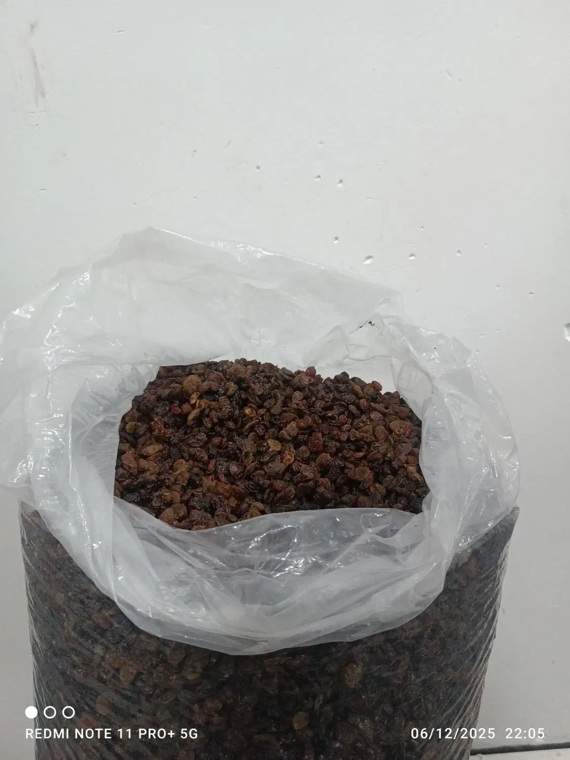 کشمش بیدانه افتاب خشک|خوردنی و آشامیدنی|هشتگرد, شهرک راه آهن|دیوار