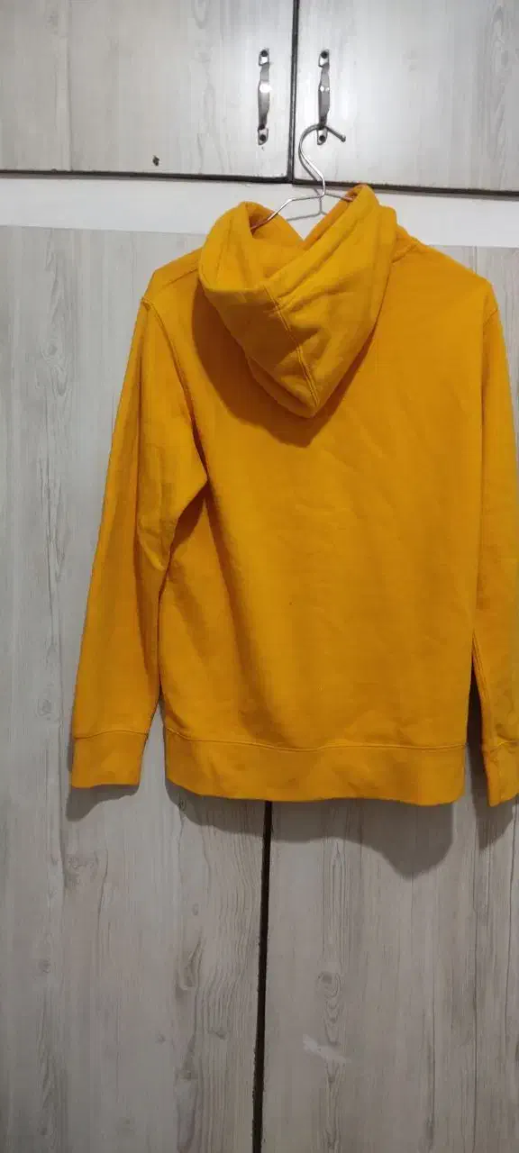 هودی|لباس|گرگان, |دیوار