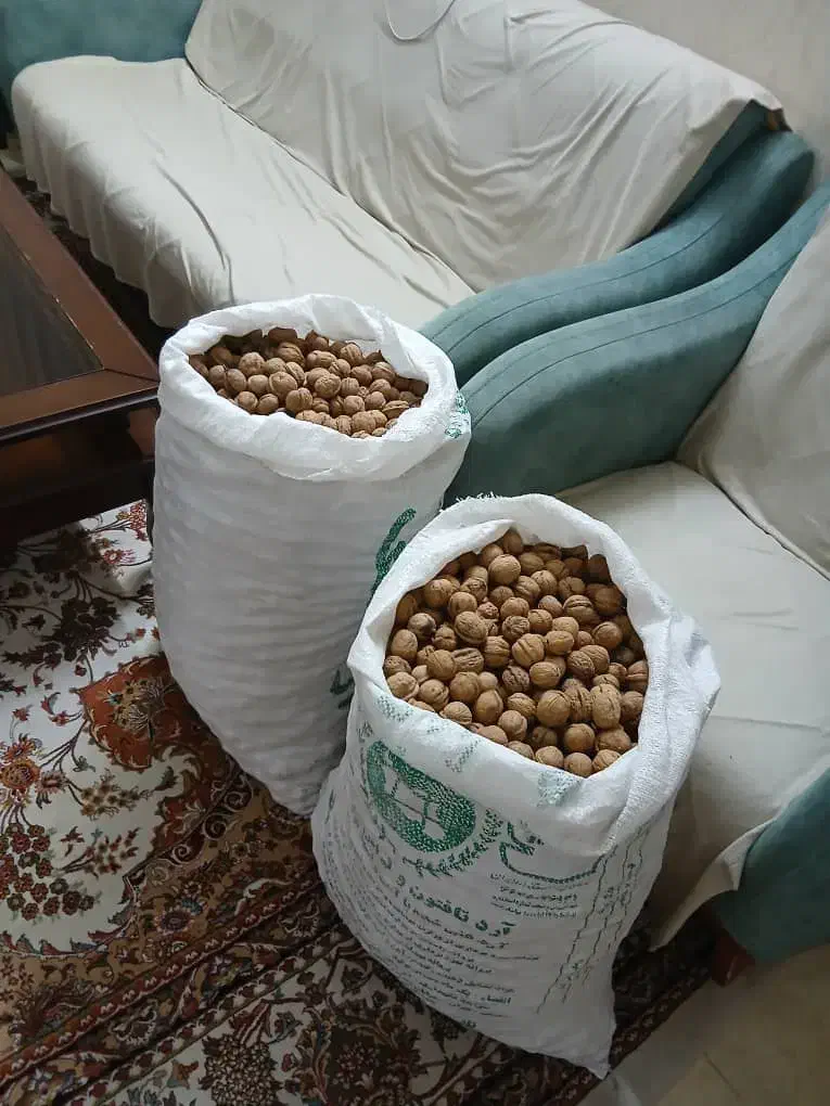 گردوی مرغوب تازه امسال باغ خودم|خوردنی و آشامیدنی|تهران, مسعودیه|دیوار