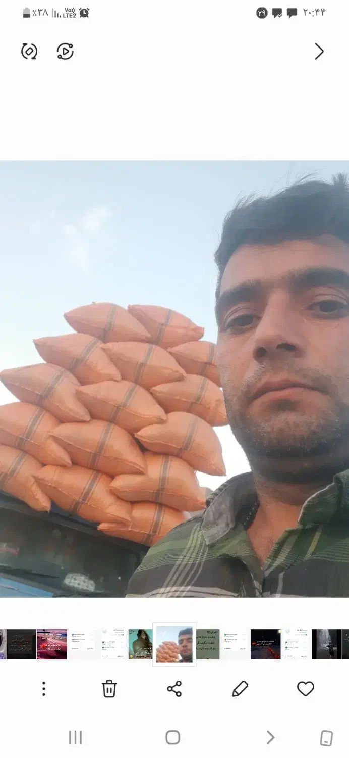 کاه گندوم فروشی  موجود هست|عمدهفروشی|میان جلگه, |دیوار