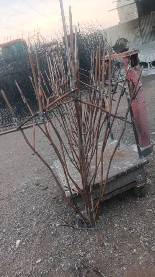 تولید شاخ گوزنی واکاردونی|خدمات پیشه و مهارت|تهران, یافت آباد شمالی|دیوار