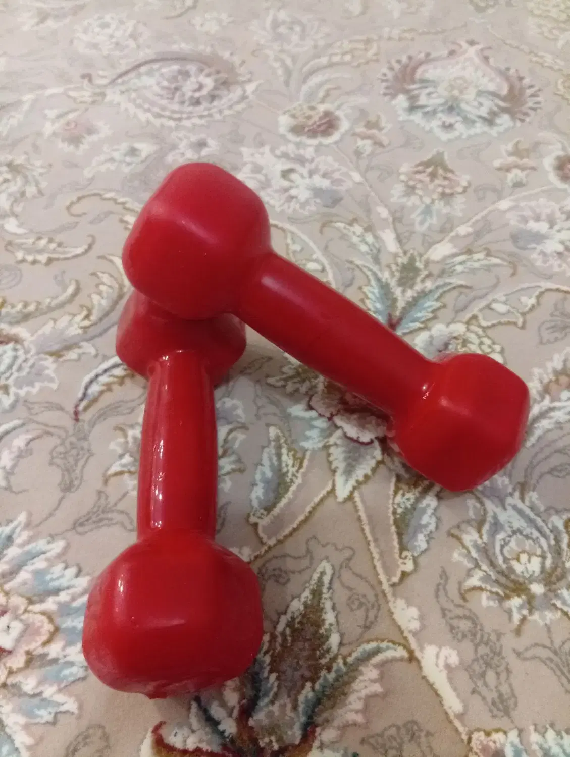 دمبل|تجهیزات ورزشی|شهر ری, فیروزآبادی|دیوار