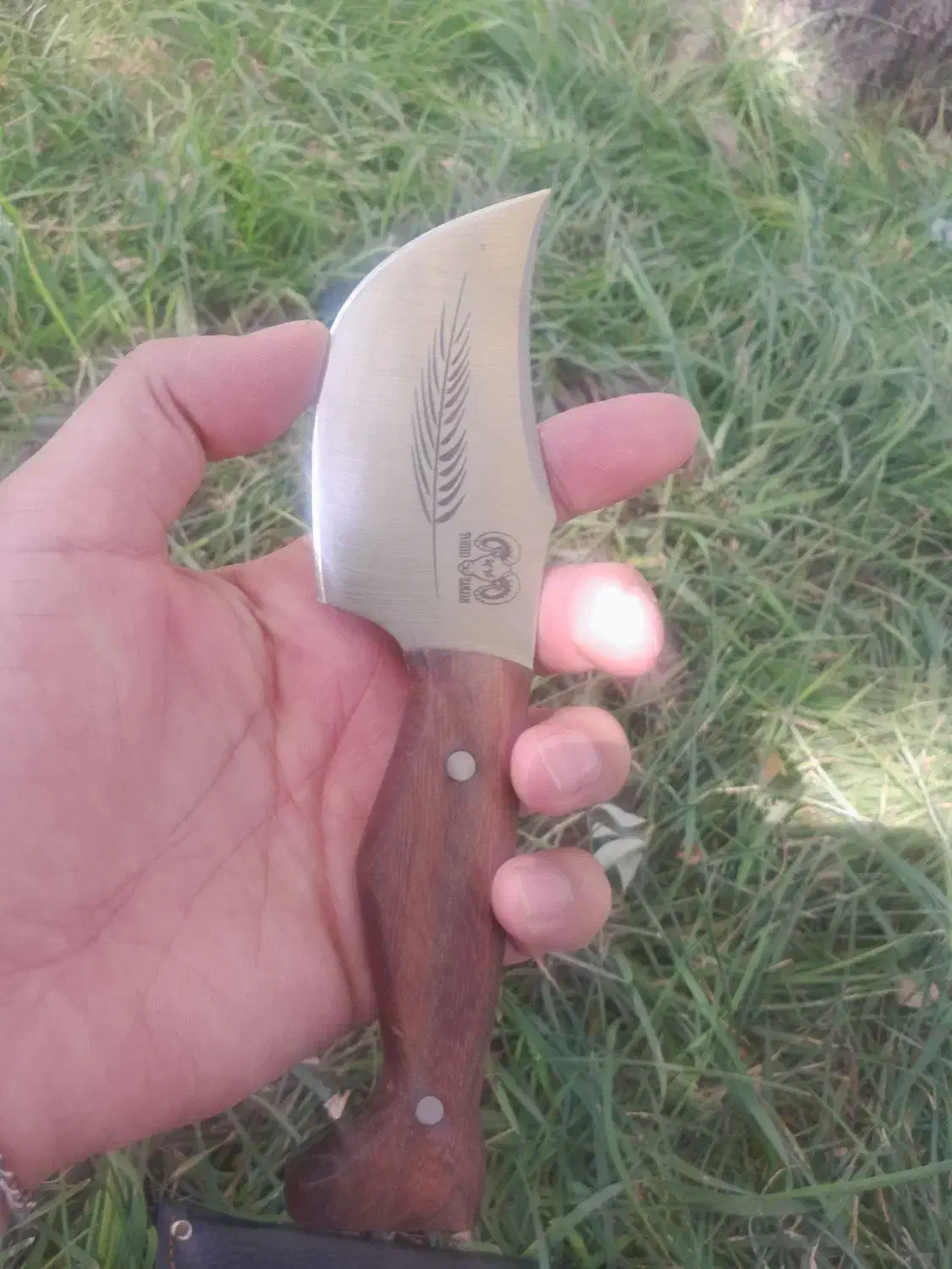 چاقو فولادی تیغ تیز|کوهنوردی و کمپینگ|مسجد سلیمان, |دیوار