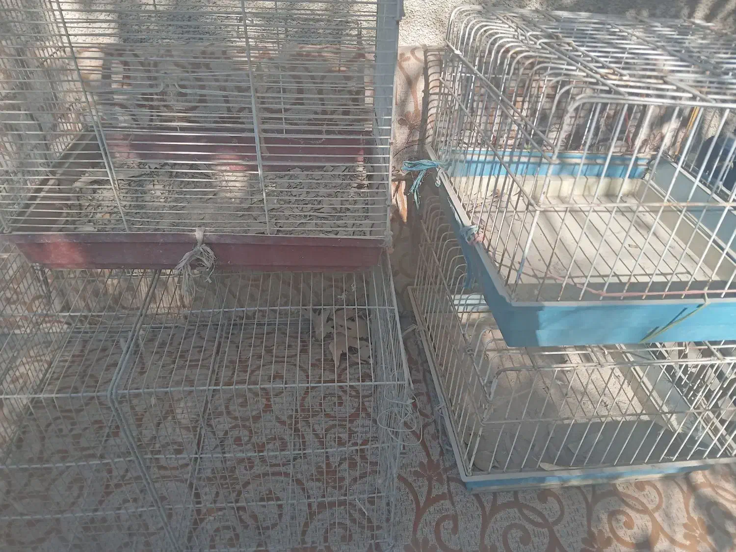 قفس خرگوش و پرنده|لوازم جانبی حیوانات|باغستان, |دیوار