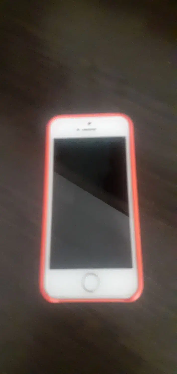 آیفون 5s|موبایل|رشت, کاکتوس|دیوار