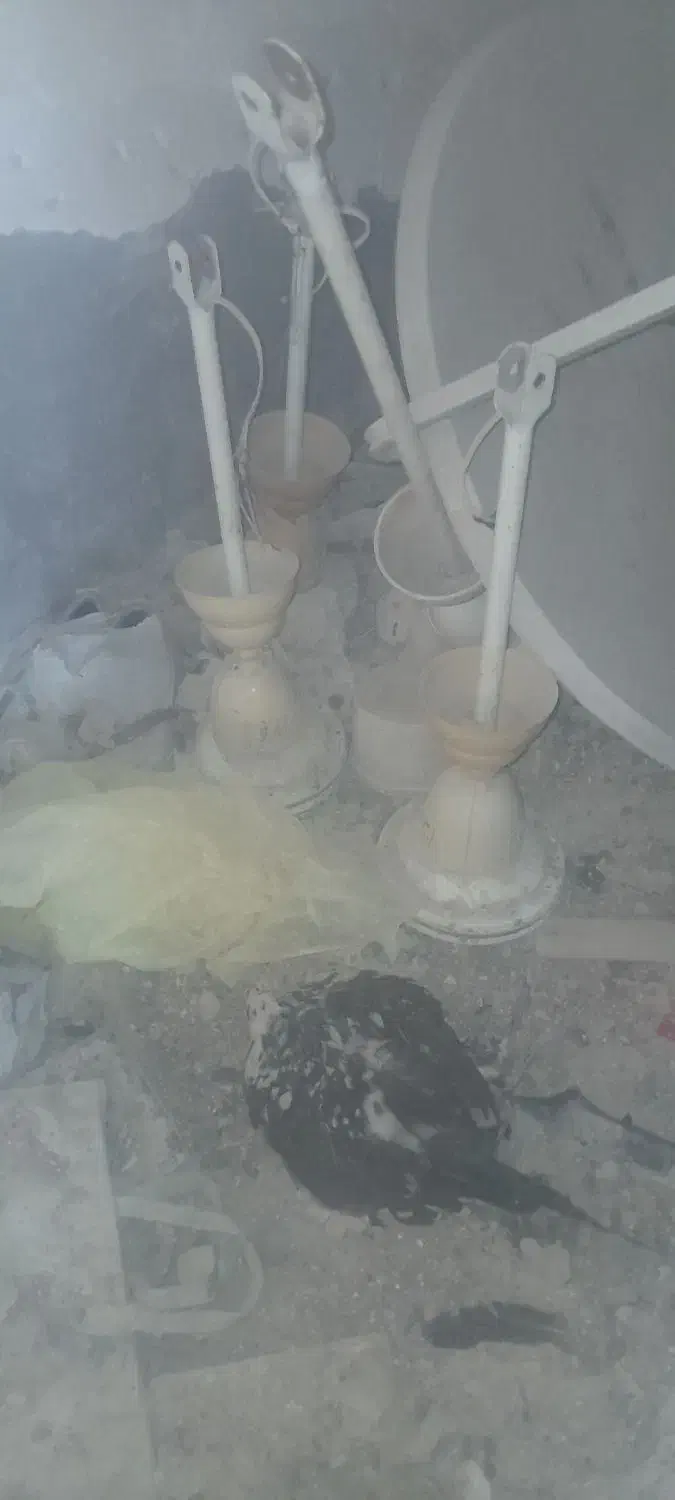 پنکه سقفی|پنکه و تصفیه‌کنندهٔ هوا|برازجان, |دیوار