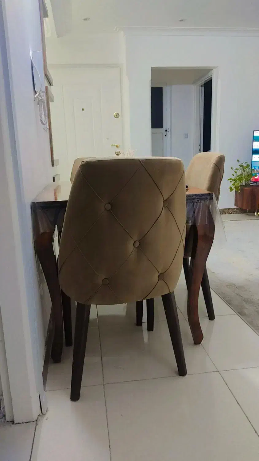 میز غذا خوری|میز و صندلی غذاخوری|شلمان, |دیوار