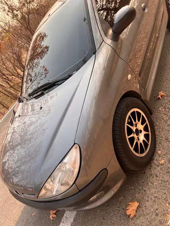 ۲۰۶ تیپ ۵|خودرو سواری و وانت|تهران, چیذر|دیوار